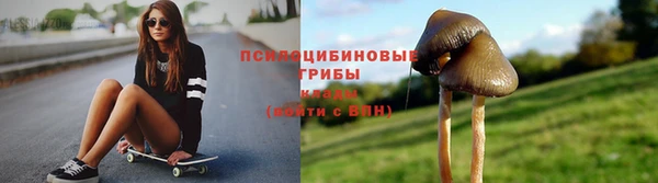 тгк Переславль-Залесский