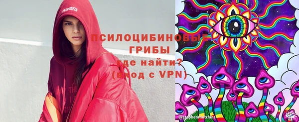 ПСИЛОЦИБИНОВЫЕ ГРИБЫ Абинск