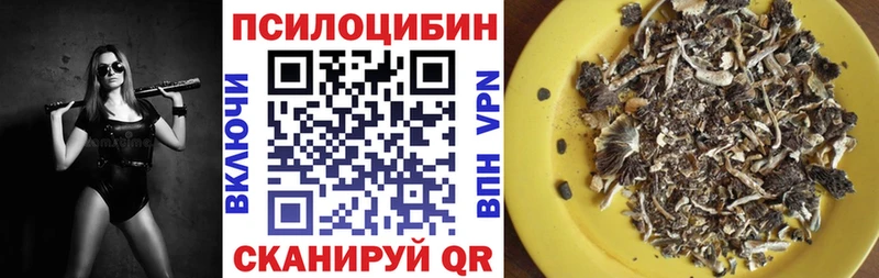 наркота  Ряжск  Галлюциногенные грибы мицелий 